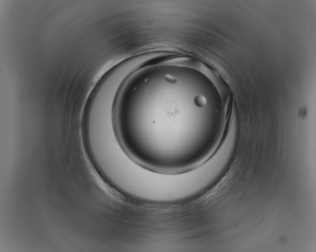 X0000091081034200708201429