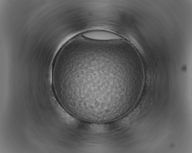 X0000091081036200708201429