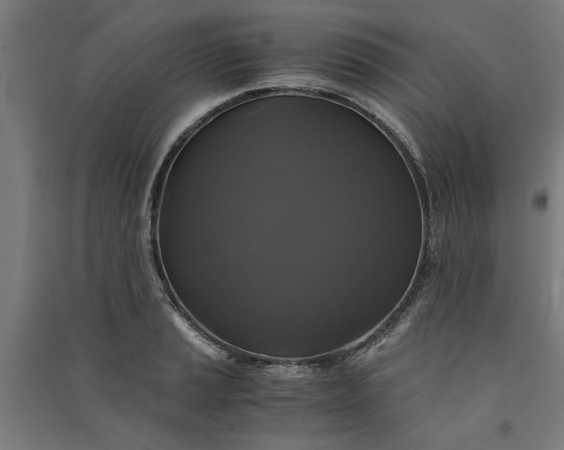 X0000091081037200708201429