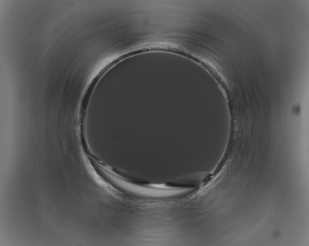 X0000091081038200708201429