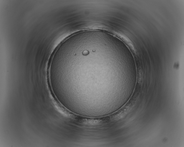 X0000091081039200708201429