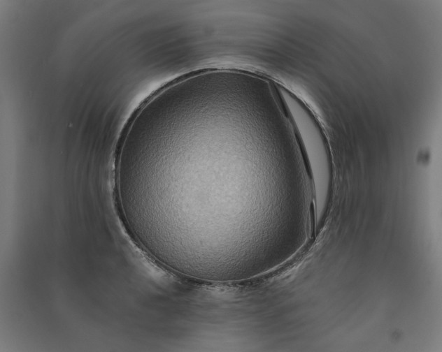 X0000091081040200708201429