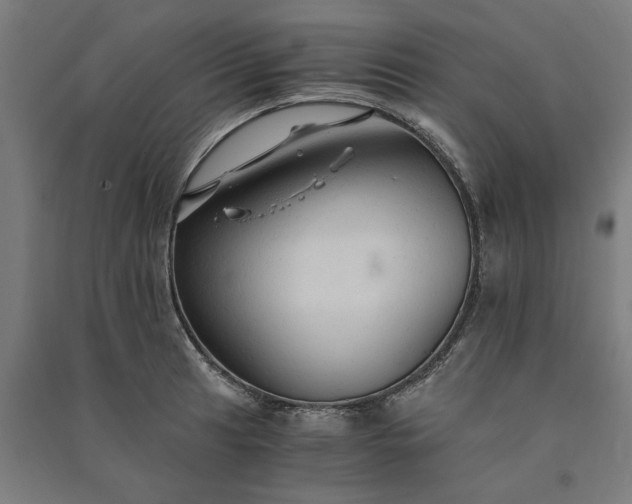 X0000091081041200708201429