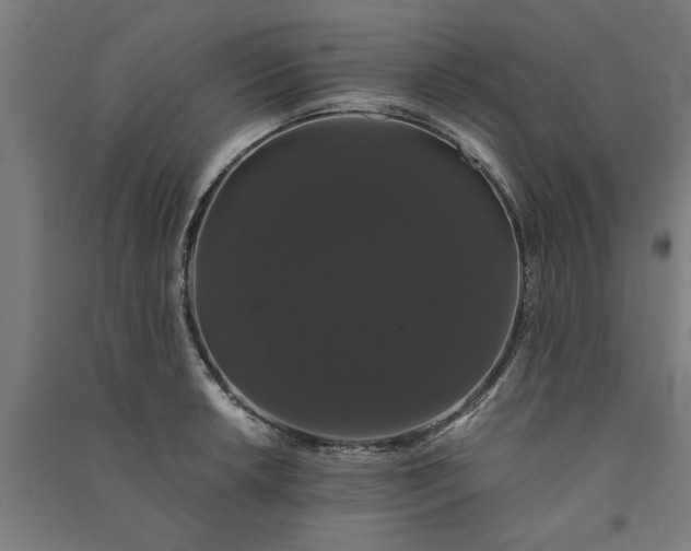 X0000091081042200708201429