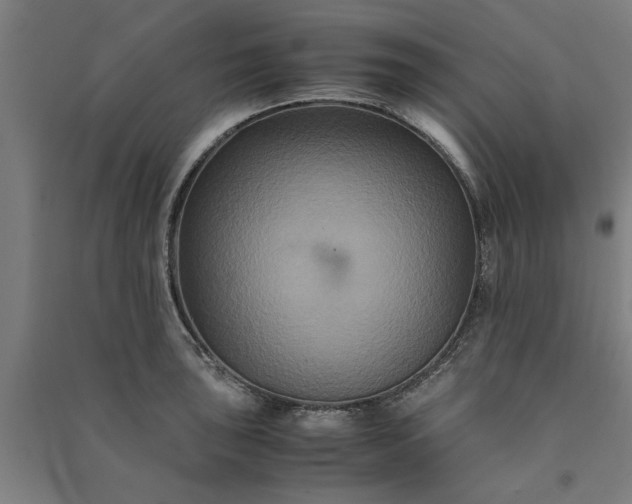 X0000091081043200708201429