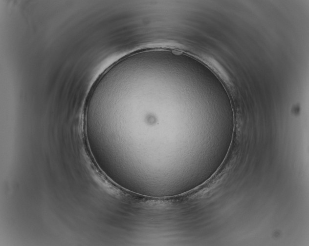 X0000091081044200708201429