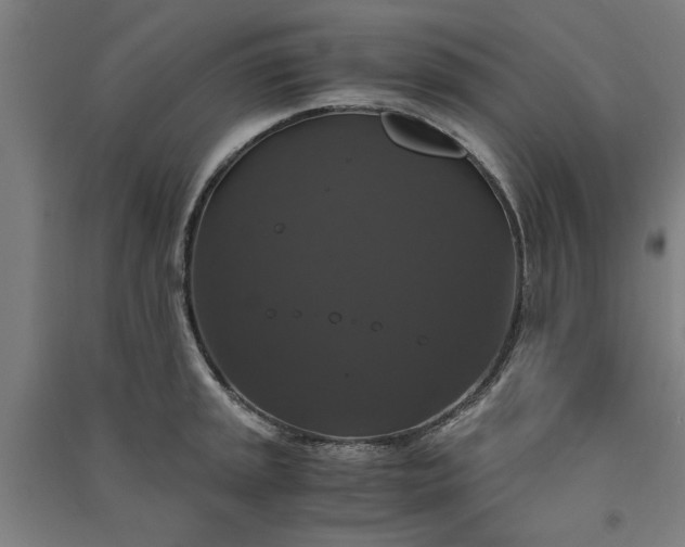 X0000091081045200708201429