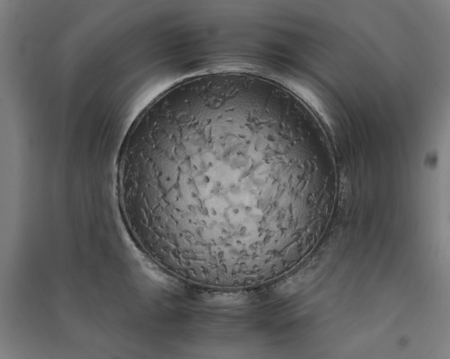 X0000091081047200708201429