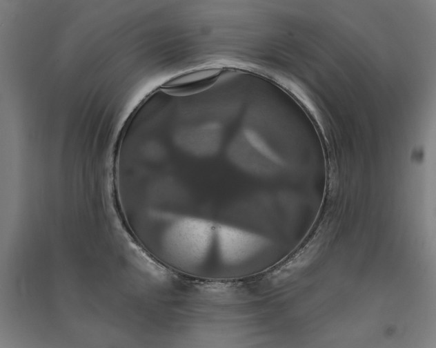 X0000091081048200708201429