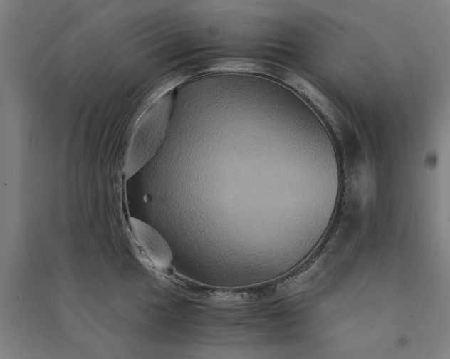 X0000091081049200708201429