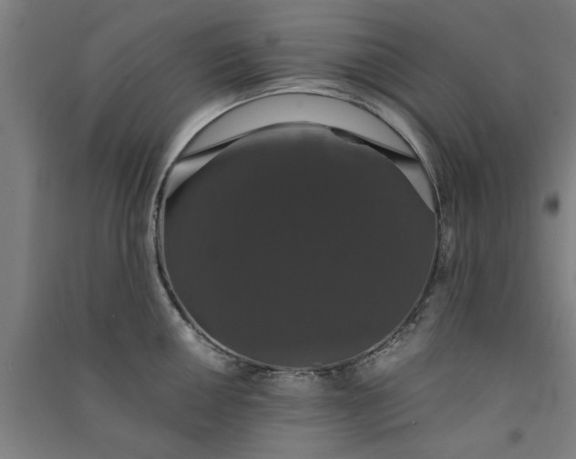 X0000091081050200708201429