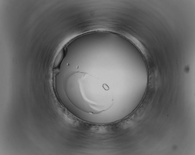 X0000091081051200708201429