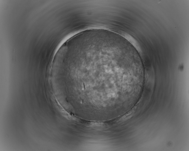 X0000091081052200708201429