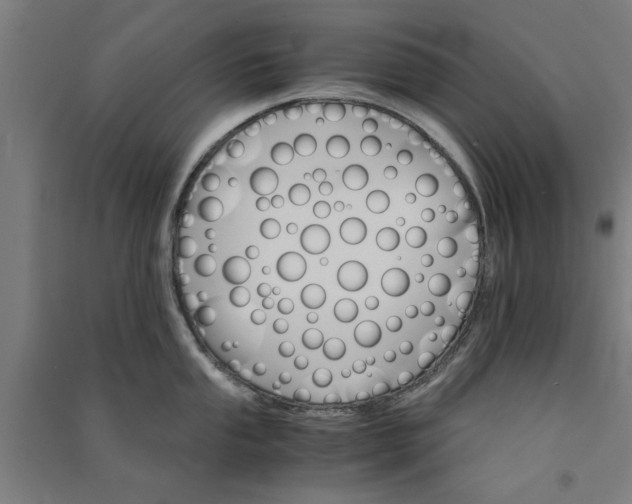 X0000091081053200708201429