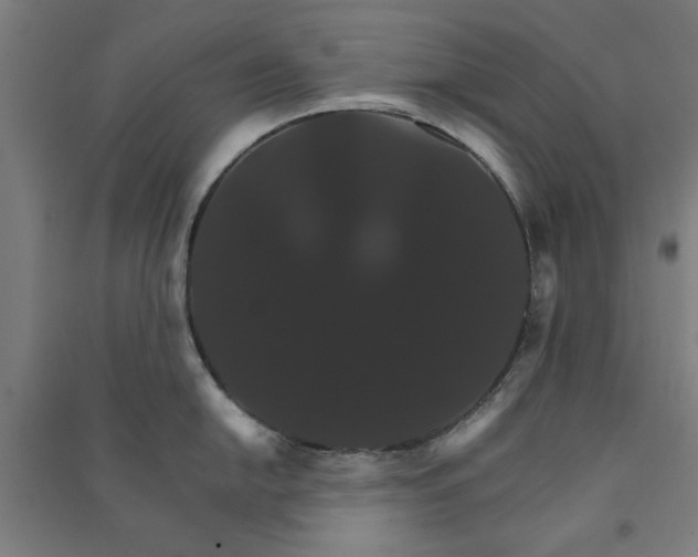 X0000091081054200708201429