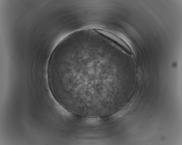 X0000091081055200708201429