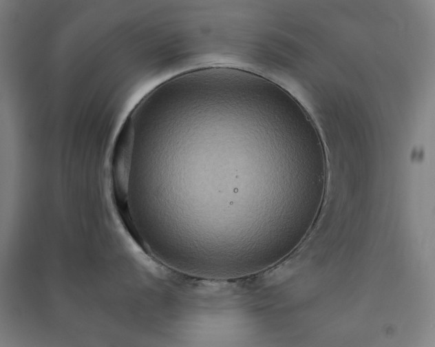 X0000091081056200708201429