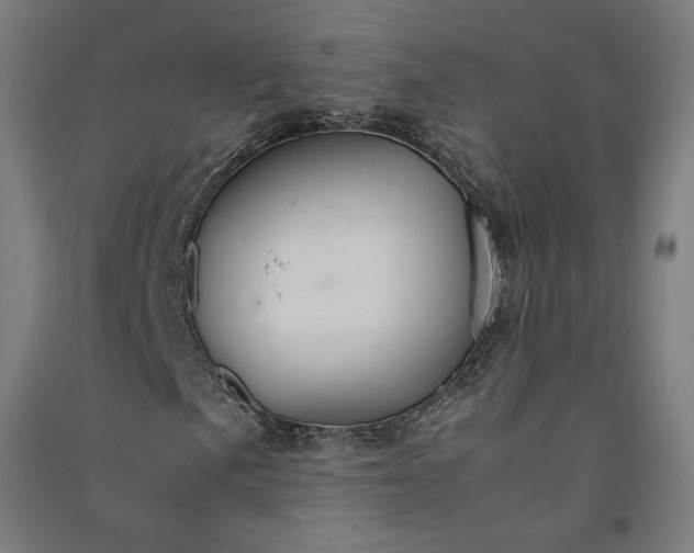 X0000091081057200708201428