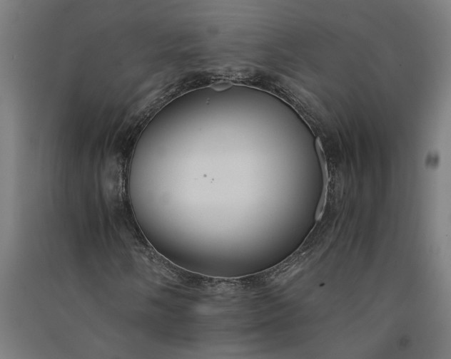 X0000091081058200708201428