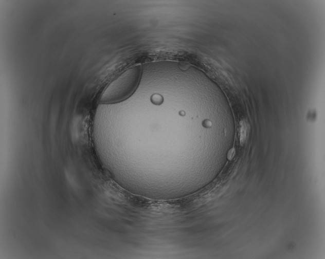 X0000091081059200708201428