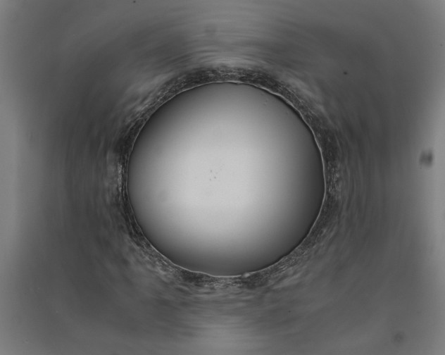 X0000091081061200708201428