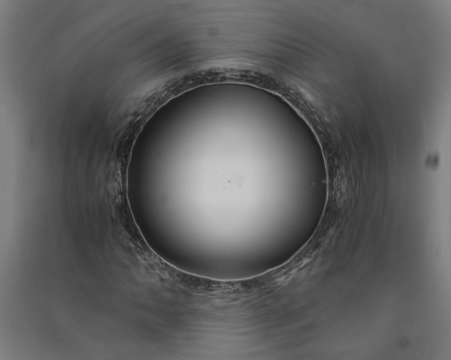 X0000091081062200708201428