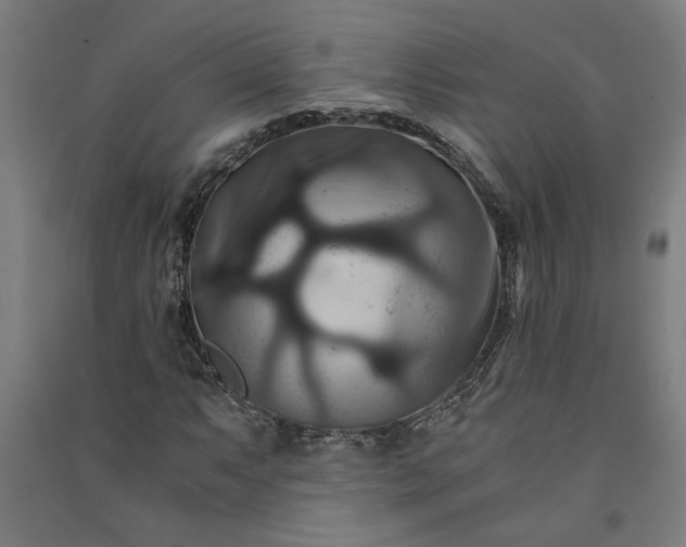 X0000091081063200708201428