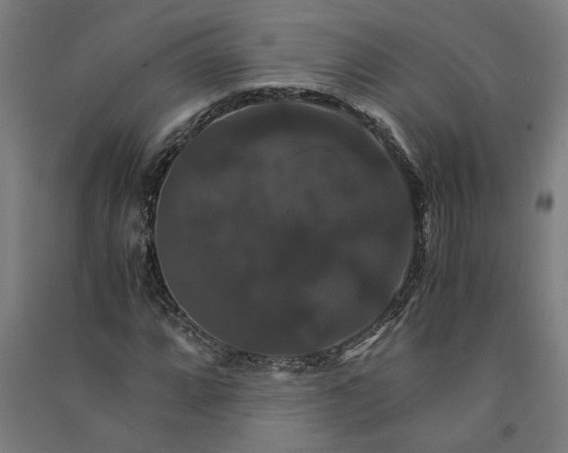 X0000091081064200708201428