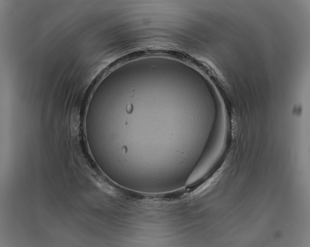 X0000091081065200708201428