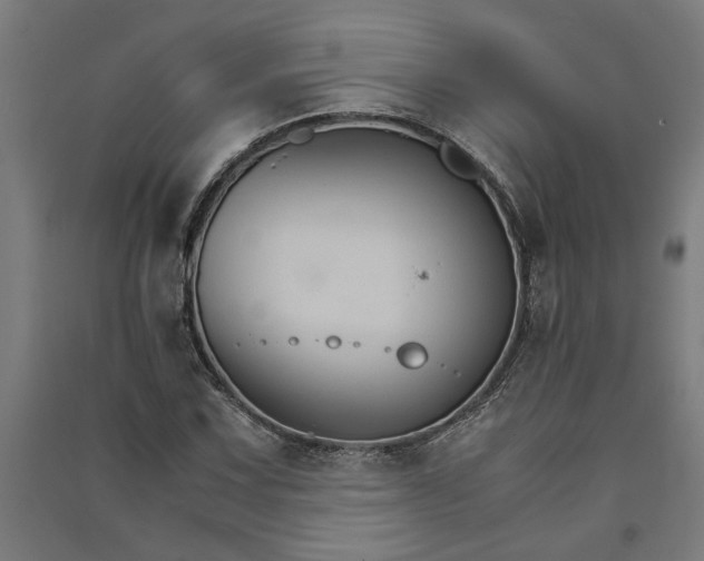 X0000091081067200708201428