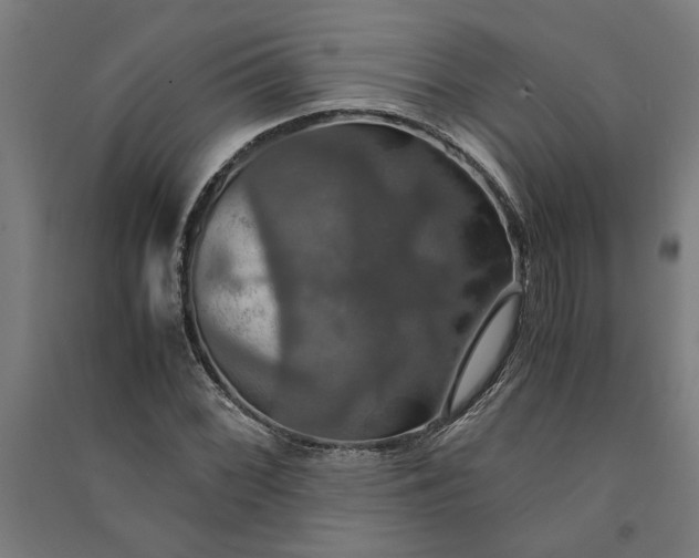 X0000091081068200708201428