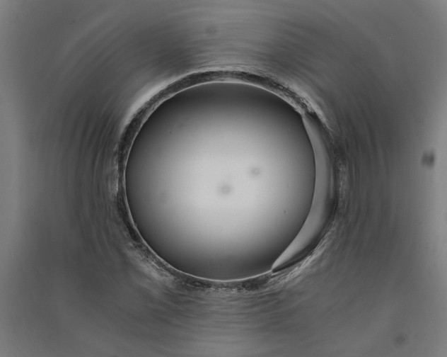 X0000091081069200708201428