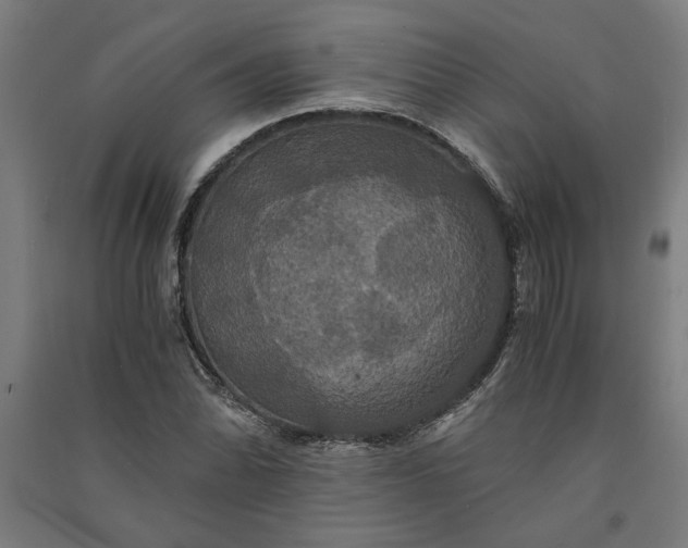 X0000091081070200708201428