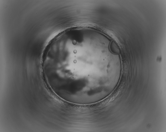 X0000091081071200708201428