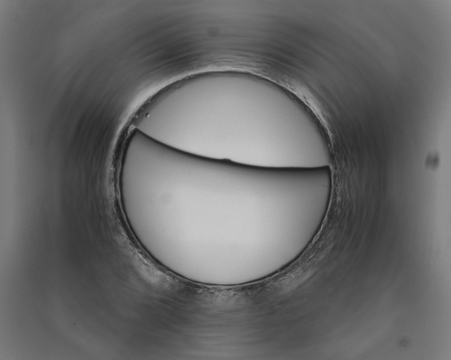 X0000091081072200708201428