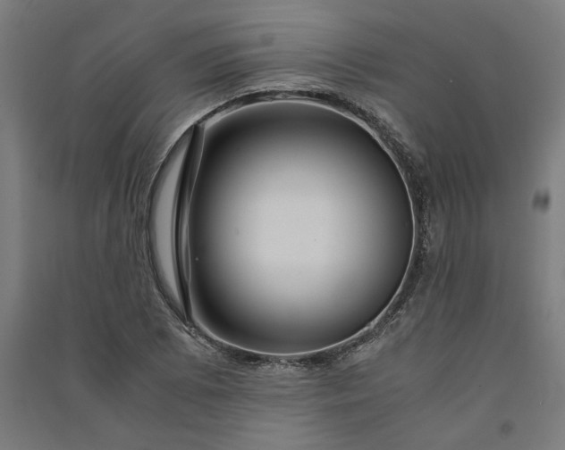 X0000091081073200708201428