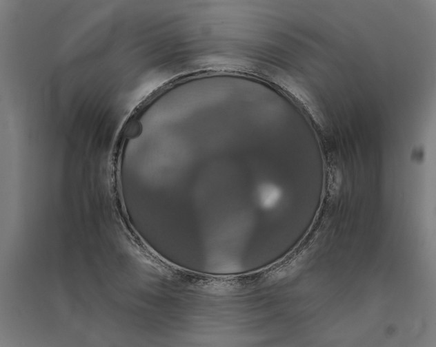 X0000091081074200708201428