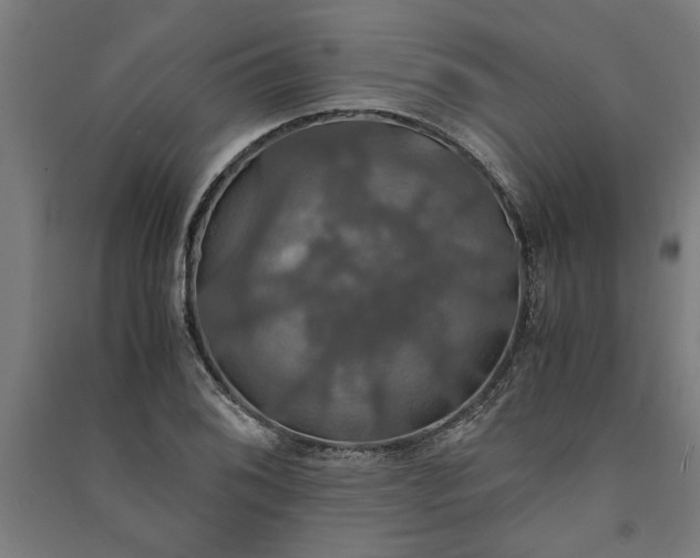 X0000091081076200708201428