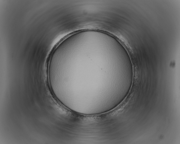 X0000091081078200708201428