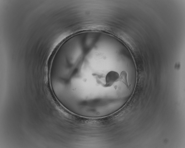 X0000091081079200708201428