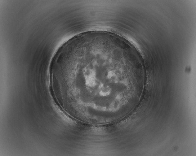 X0000091081080200708201428