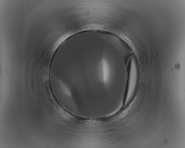 X0000091081081200708201428