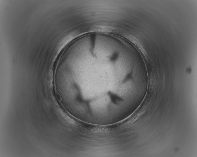 X0000091081083200708201428