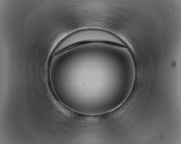 X0000091081085200708201428