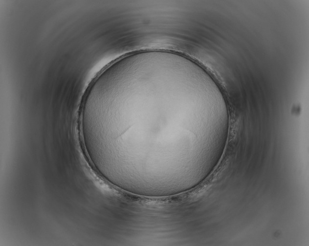 X0000091081086200708201428