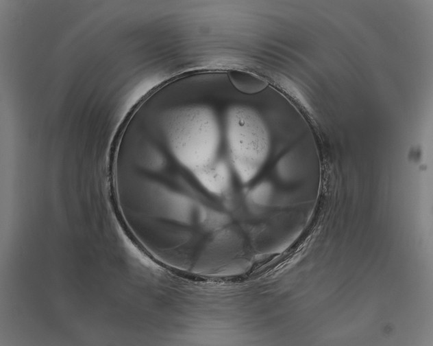 X0000091081087200708201428