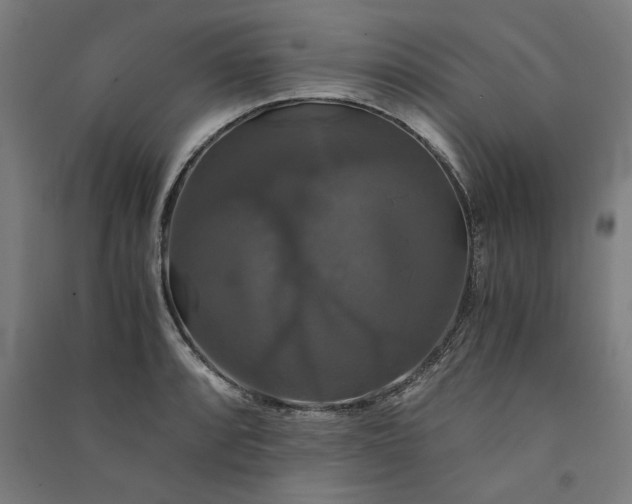 X0000091081088200708201428