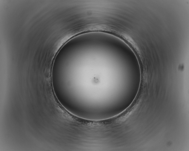 X0000091081089200708201428