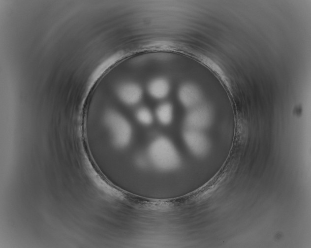 X0000091081090200708201428