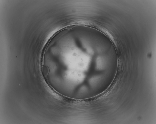 X0000091081091200708201428